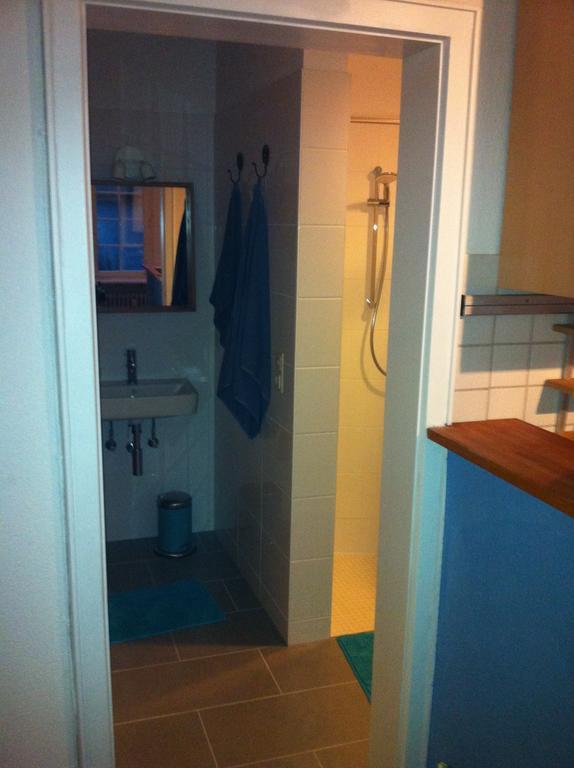 Ferienwohnung Freiburg Herdern 객실 사진