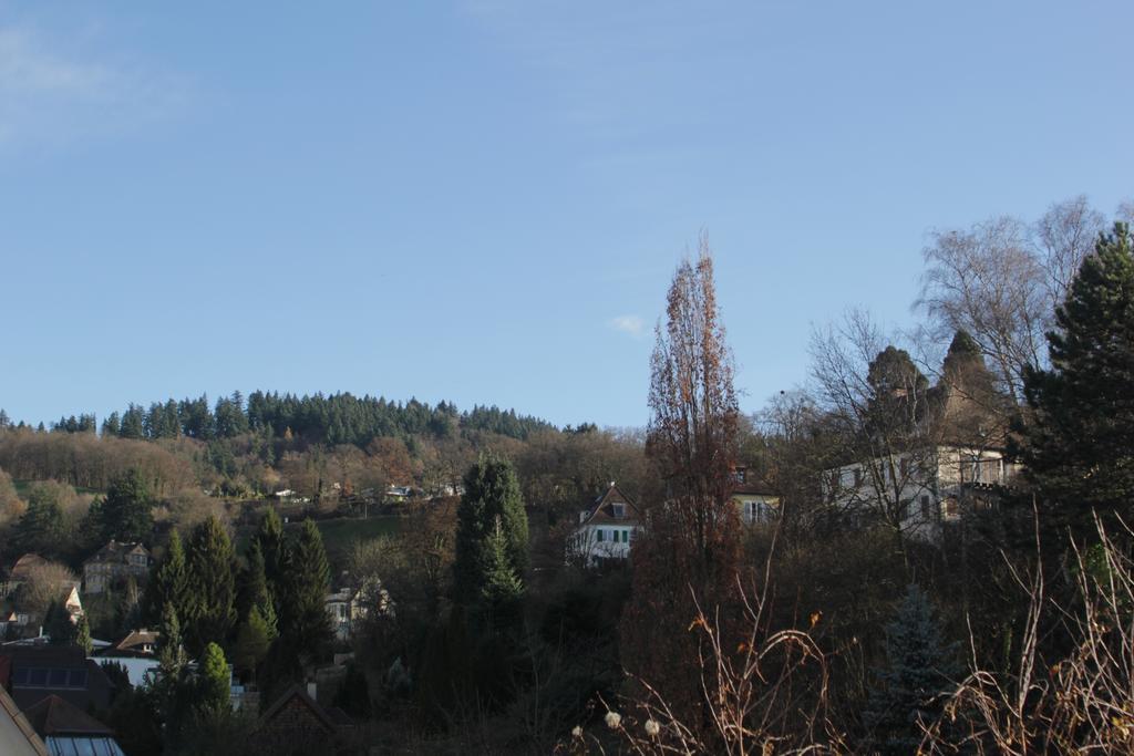 Ferienwohnung Freiburg Herdern 객실 사진